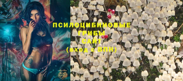 ГАЛЛЮЦИНОГЕННЫЕ ГРИБЫ Алексеевка
