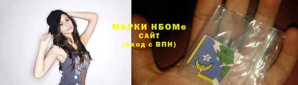 индика Алзамай