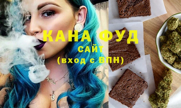индика Алзамай
