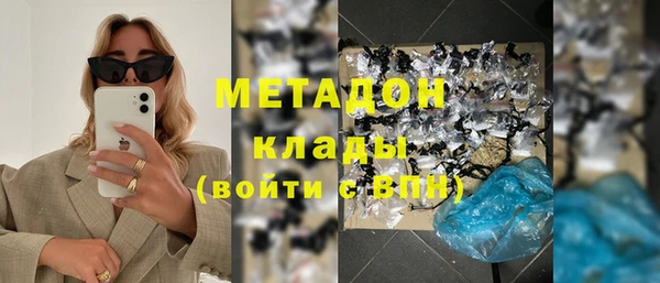 индика Алзамай